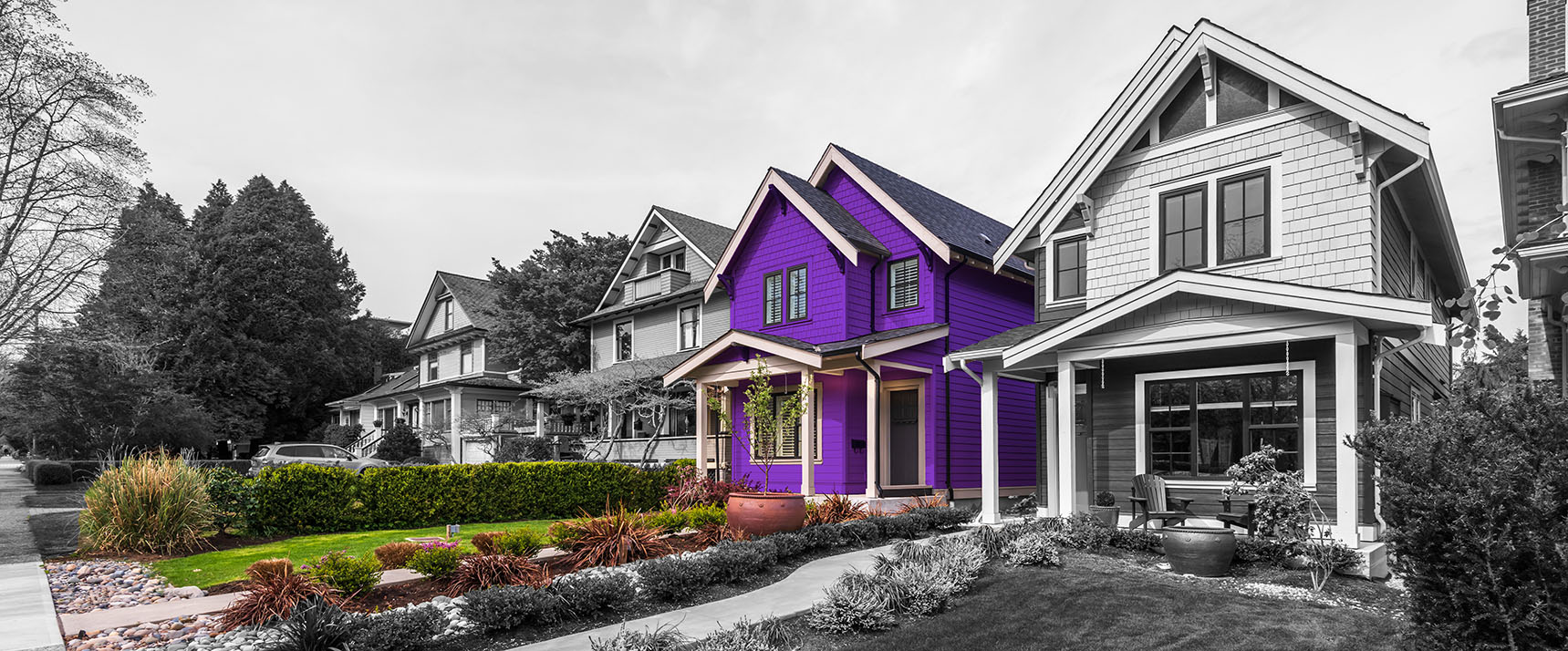 Purple house